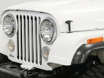 Karosserieelektrik Ersatzteile Jeep CJ7 76-86 – Scheinwerferring, Rückleuchte, Blinkleuchte & Hupe von Crown, Hella.
