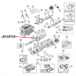 Preview: Lager Adapter Hauptwelle hinten T150 Schaltgetriebe Jeep CJ (76-79), Explosionszeichnung, die mit rotem Pfeil die Position des Lageradapters am Schaltgetriebe zeigt.