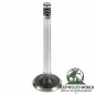 Preview: Auslassventil Standard 3,8 + 4,2 + 5,0 L Jeep CJ + SJ 73-80