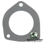 Preview: Dichtung zwischen Hosenrohr, Flammrohr und Katalysator für 2,5L und 4,0L Motor. Jeep Cherokee XJ / Wrangler TJ (24.01.2000-2002).