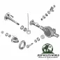 Preview: C-Clip Axle Shaft Dana 35 Rear Axle Jeep Wrangler + Cherokee + Grand Cherokee 90-06
