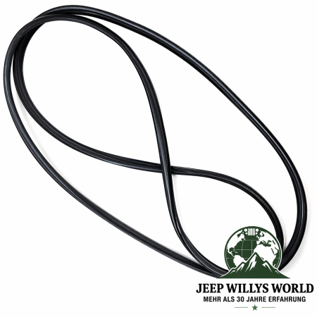 Side Window Seal Hardtop Right or Left Jeep Wrangler 96-06