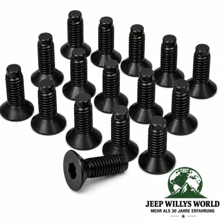 Crown Windshield Hinge Screw Set 16 pce. Black Jeep CJ5 CJ7 CJ8 / Wrangler YJ TJ  (1976-2006)