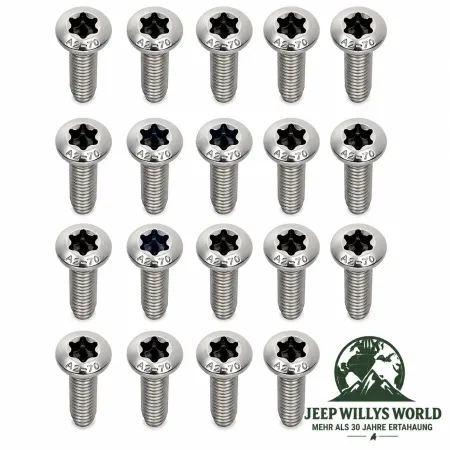 Dorman Türscharnier Torx Schrauben Set Edelstahl. Jeep Wrangler JK (07-18)