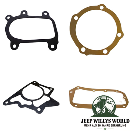 Gasket and Oil Seal Kit Dana 20 Transfer Case Jeep CJ 72-79, all Oil Seals and the O-Ring are pictured.