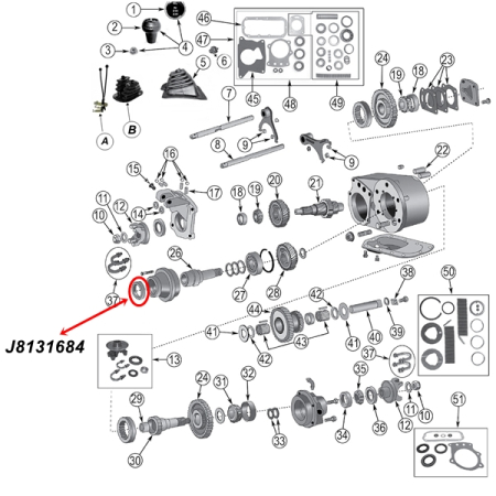 Simmerring Eingang Dana 300, NP Verteilergetriebe, T176, 177 Schaltgetriebe Ausgang Jeep CJ Wrangler Cherokee 80-91