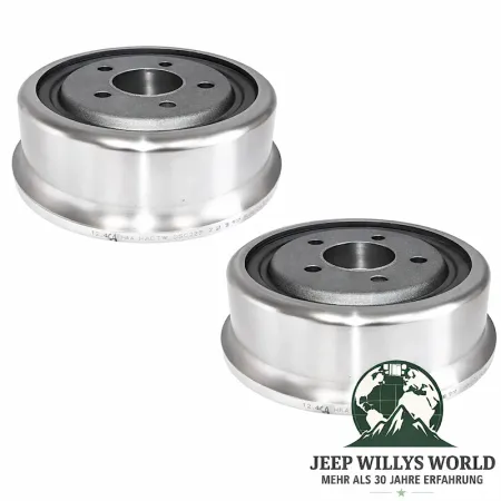 Raybestos Bremsbacken Satz hinten Jeep CJ5 CJ7 CJ8 78-86