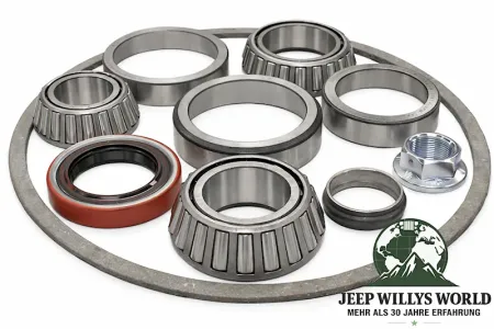 Differential Rebuild Kit Rear Axle AMC 20 Jeep CJ 76-86