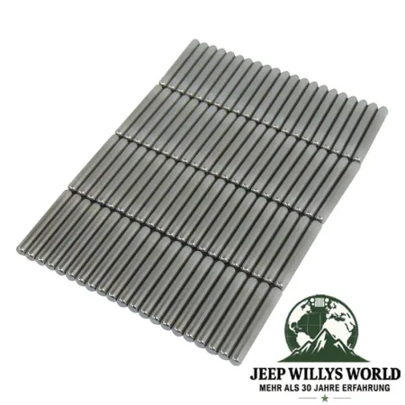 Side Gear Roller Set with 85 pce. Needles fpr NP219, NP228 or NP229 Transfer Case. Jeep SJ / J Series / Cherokee XJ (1980-1991).