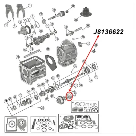 Output Shaft Bearing SR4 Input Shaft T84 Overdrive T85 Transmission Jeep CJ / SJ / Willys (41-83), exploded drawing highlighting the position of Bearing on Transmission with a red arrow.