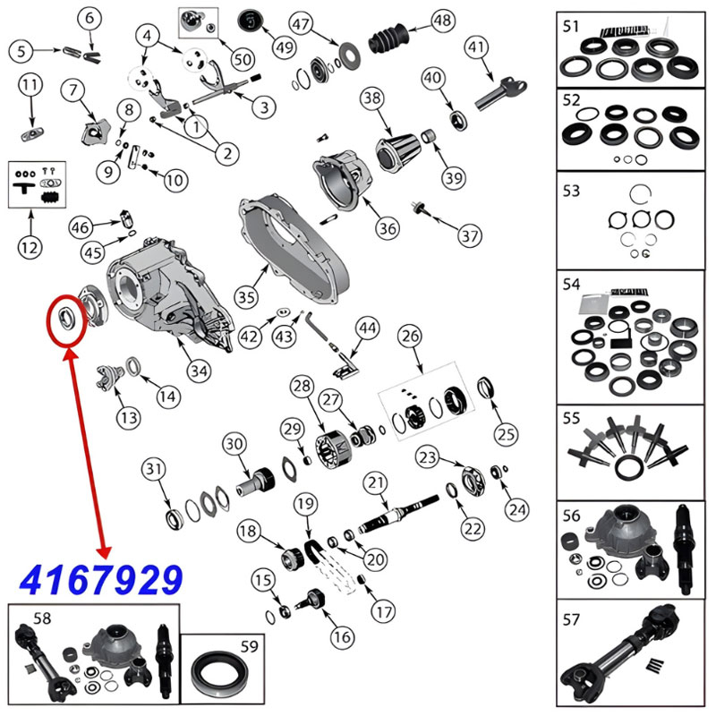 Simmerring für die Eingangswelle am NP231, NP242 und NP249 Verteilergetriebe. Jeep Cherokee XJ / Wrangler YJ / TJ / Grand Cherokee ZJ / ZG / WJ / WG / Comanche MJ / Liberty KJ (1991-2002), Explosionszeichnung die die Position des Simmerrings am Getriebe z