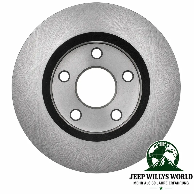 Raybestos R-Line Brake Rotor pair Front Ø 302mm Jeep Wrangler JK (07-18)