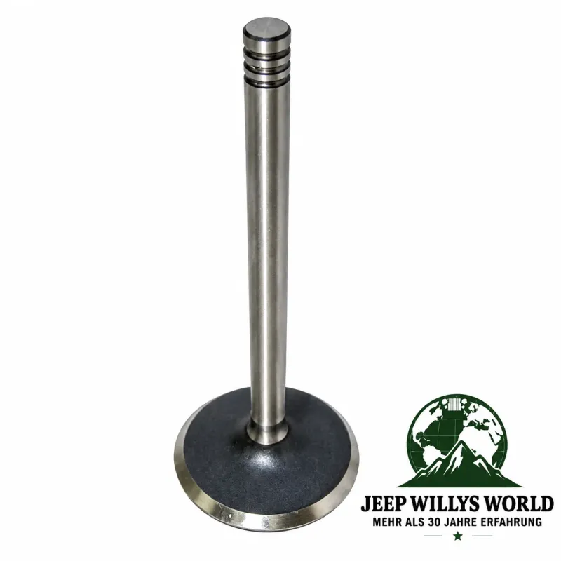 Einlassventil Standard Jeep Wrangler TJ / Cherokee XJ / Grand Cherokee WJ WG 2,5L + 4,0L (1999-2006)
