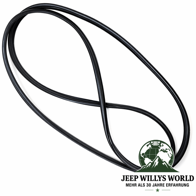 Side Window Seal Hardtop Right or Left Jeep Wrangler 96-06