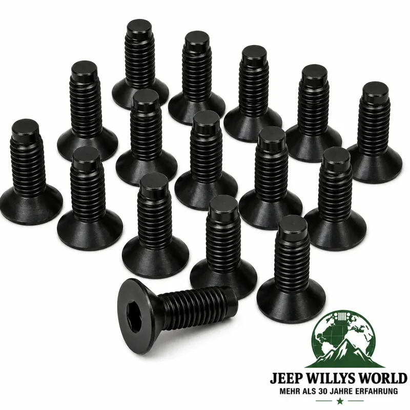 Crown Windshield Hinge Screw Set 16 pce. Black Jeep CJ5 CJ7 CJ8 / Wrangler YJ TJ  (1976-2006)