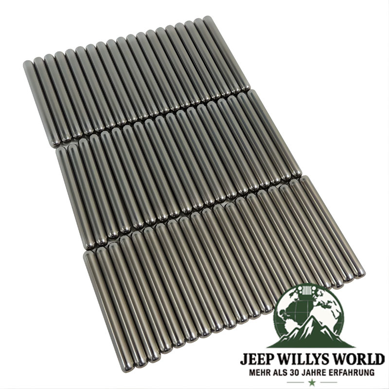 Nadel Set mit 58 Nadeln für NP242, NP247, NP147 oder NP249 Verteilergetriebe. Jeep Cherokee XJ / Grand Cherokee ZJ / ZG / WJ / WG (1987-2004).