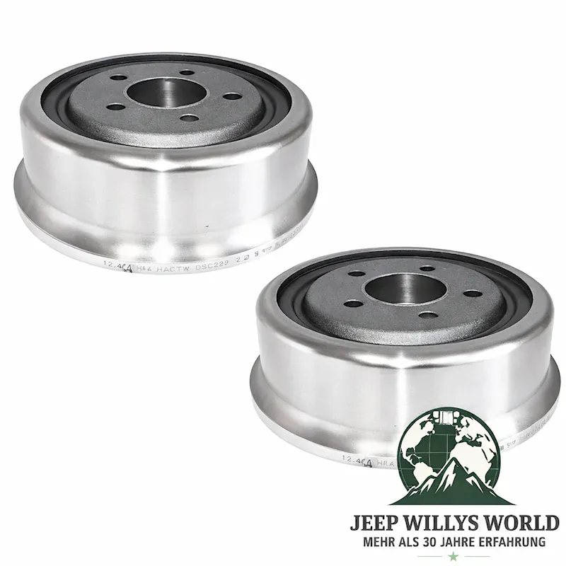Raybestos Bremsbacken Satz hinten Jeep CJ5 CJ7 CJ8 78-86