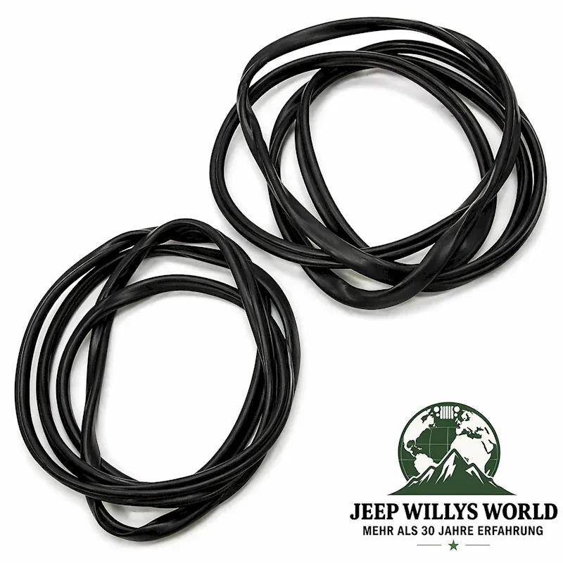 Scheibendichtung Windschutzscheibe aussen + innen Jeep Wrangler 96-06