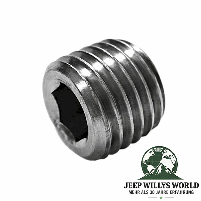 Differential Cover Plug AMC 20 Rear Axle Jeep CJ 76-86