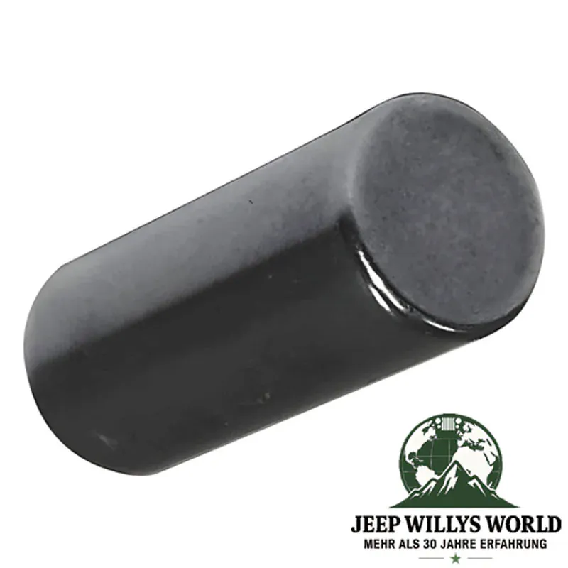 Roller Bearing Input Shaft SR4 T4 T5 T176 T177 Transmission Jeep CJ / SJ (80-86)