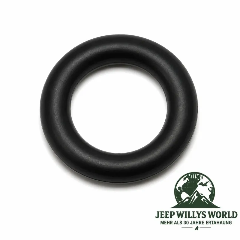 Kraftstoff Einspritzdüsen Dichtring Satz Jeep Wrangler, Cherokee , Grand Cherokee , Commander , 3,7L + 3,8L (04-11)