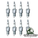 Zündkerzen Set 3,8 + 4,2 + 5,0 + 5,9 L Jeep CJ 71-88