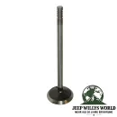 Sealed Power Exhaust Valve Standard Size Jeep Wrangler JK 3.8L 07-11)