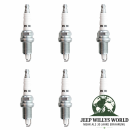 Zündkerzen Set 4,0 L Jeep Wrangler + Cherokee + Grand Cherokee 91-06