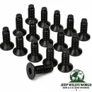 Crown Scheibenrahmenscharnier Schrauben Set Schwarz Jeep CJ5 CJ7 CJ8 / Wrangler YJ TJ  (1976-2006)