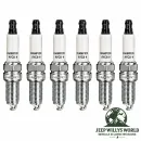 Champion Zündkerzen Set Jeep Wrangler / Gladiator / Cherokee / Grand Cherokee 3,0L. 3,2L, 3,6L (11-26)