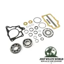Bearing Repair Kit T15 Transmission Jeep CJ (72-75)