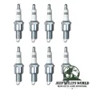 Zündkerzen Set 3,8 + 4,2 + 5,0 + 5,9 L Jeep CJ 71-88