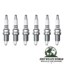 Zündkerzen Set Jeep CJ Wrangler Cherokee 81-90 4,2 L