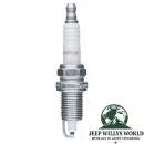 Zündkerze 2,5 L GM Jeep CJ 80-82